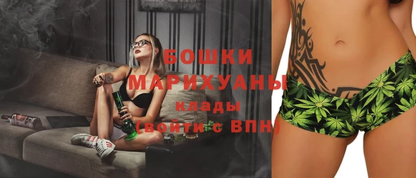 гашик Аркадак