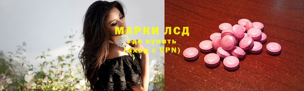 гашик Аркадак