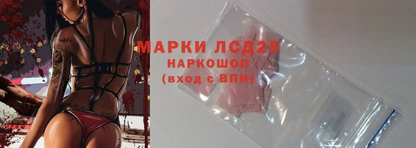 гашик Аркадак